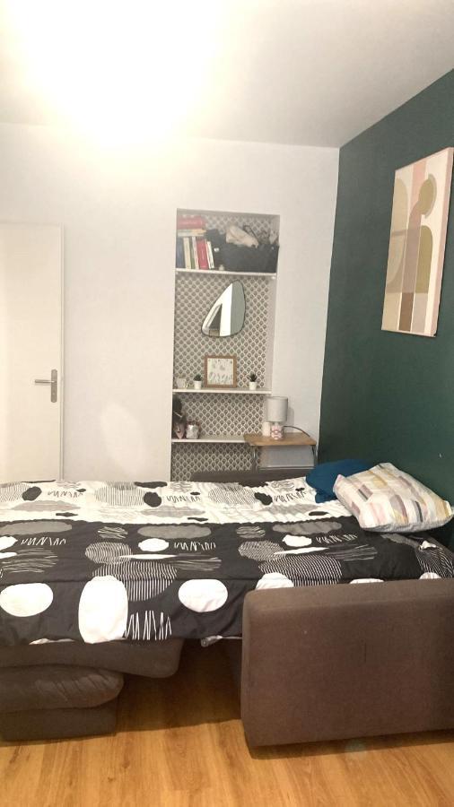 Chambre En Appartement Haussmannien En Centre Ville Saint-Etienne  Exterior foto