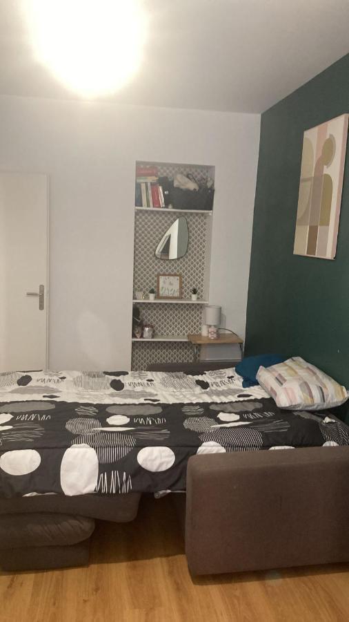 Chambre En Appartement Haussmannien En Centre Ville Saint-Etienne  Exterior foto
